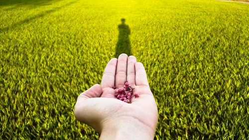 【见证】在教会中乱花钱的习惯得到改正 – 黄嘉妮姐妹 （3月4日）