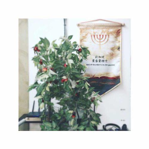 【课程】教会课程设计大纲和规划