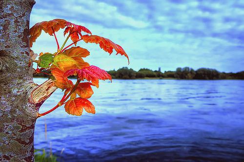 【见证】在耶稣基督里生命翻转 – HL姐妹 （3月11日）