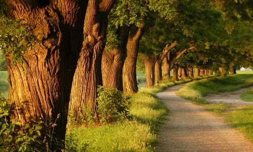 【见证】如何侍奉神，神就如何对待你 – ZX姐妹 （3月30日）