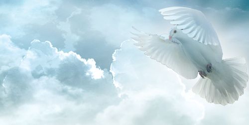 【见证】医治释放的见证-钱谦然姊妹（4月13日）