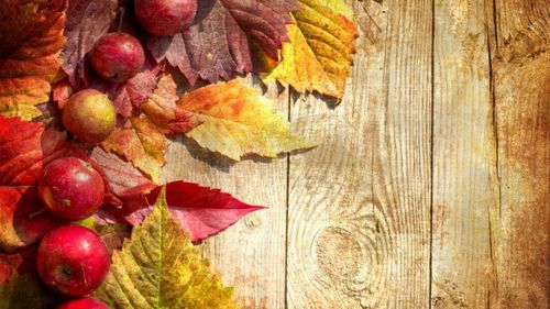 【见证】凶恶的灵得释放 – QR姐妹（4月22日）