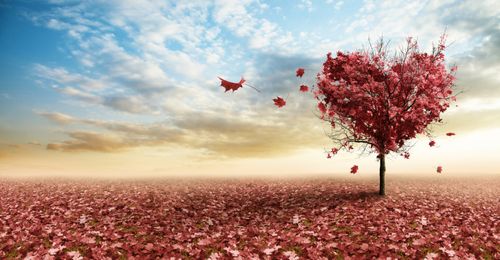 【见证】孩子病痛得医治-MW姐妹（4月29日）