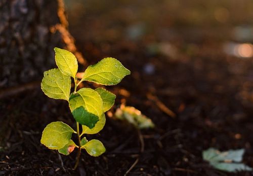 【见证】感冒得医治 — WH姐妹
