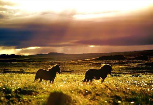 【见证】圣灵充满 — XG弟兄