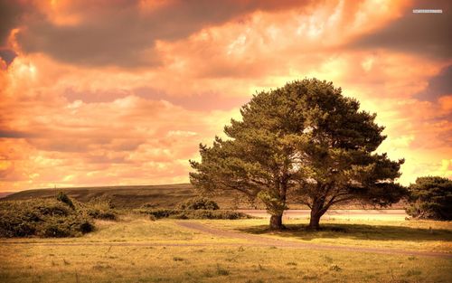 【见证】身体得医治，心思得释放—WY姐妹（5月6日）