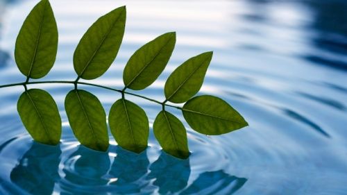 【见证】因着祷告，女儿的惧怕消失 - XZ姐妹 （5月27日）