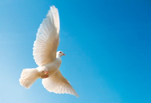 【见证】考试突破的见证 - KR姐妹  （5月27日）