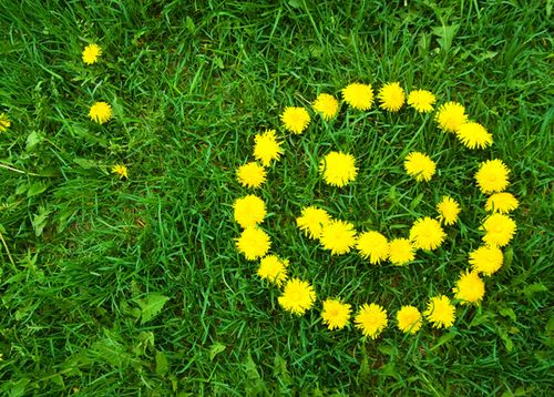 【见证】TY姐妹发烧，祷告得医治 - PL姐妹 （20160610）