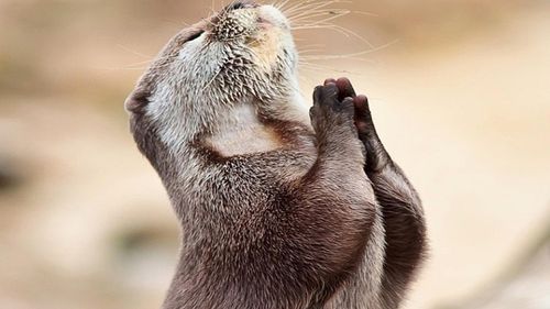 【见证】  服侍的见证 - YX姐妹（160625）