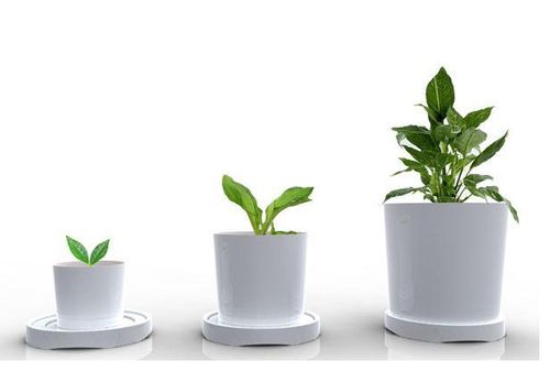 【活出丰盛】成长需要的是享受你手所做的