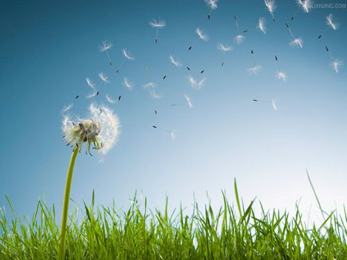 【讲道】 种什么，收的就是什么！