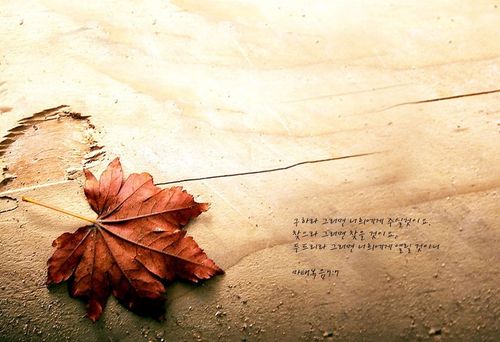 【见证】断开女人生产咒诅，腰痛得医治-SY姐妹