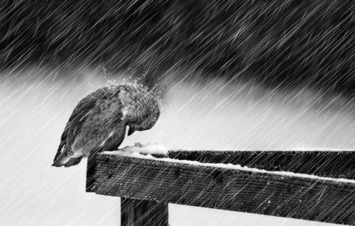 【讲道】 面对挫折的时候！