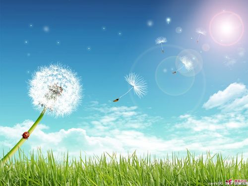 【见证】工作蒙福的见证-JY弟兄