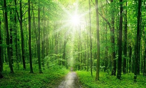 【见证】工作和财务蒙福的见证 - WJ弟兄