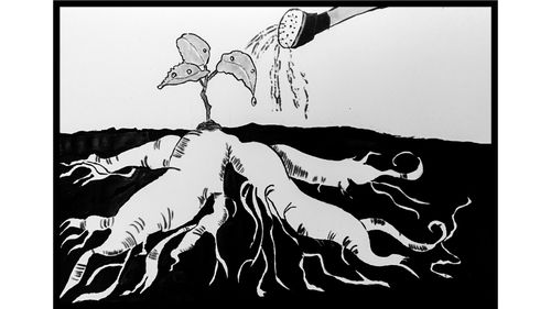 【讲道】凡神所应许的，都是信实的！