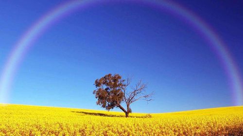 【讲道】事情的结局