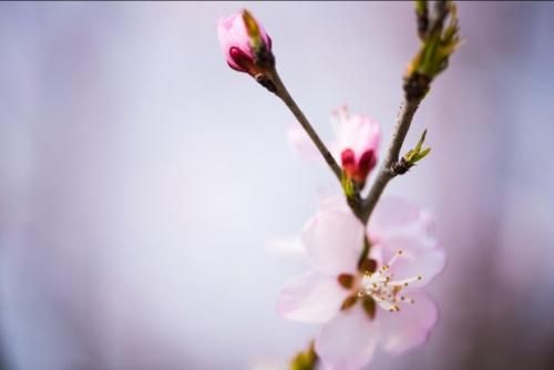 【见证】服侍小羊破除密集恐惧症的辖制！（2018年3月4日）
