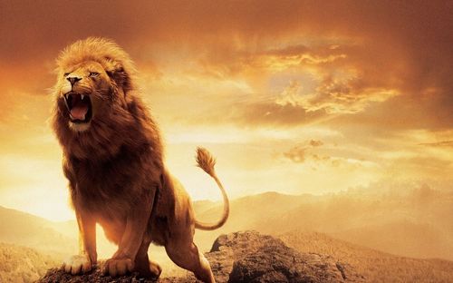 【见证】打击老马的邪灵，破除爱世界的心思意念（20180325）