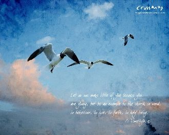 【见证】属灵的经历和见证（20180520）