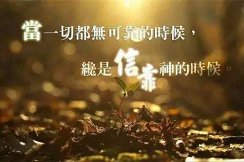 【讲道】信心是根基