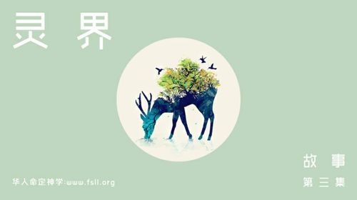 【课程】属灵故事 第3集
