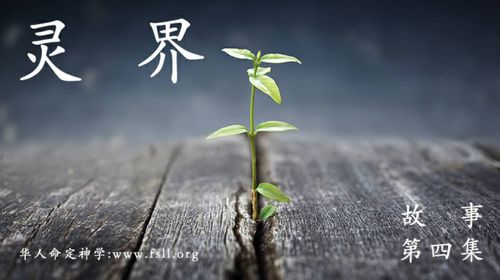 【课程】属灵故事 第4集