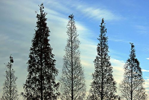 【课程】华人命定神学理念 第07课 - 圣灵充满是得着能力的关键！