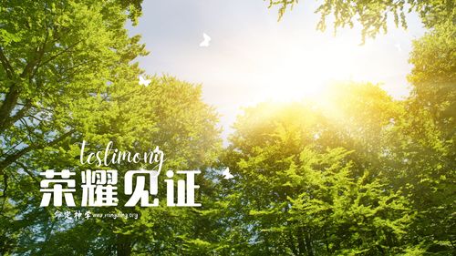 【见证集】 - 20231112