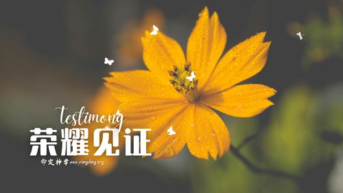 【见证集】 - 20231119