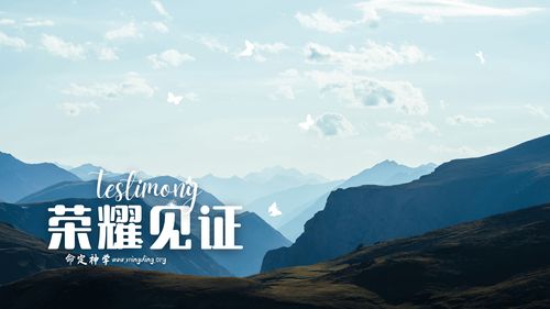 【见证集】 - 20231126