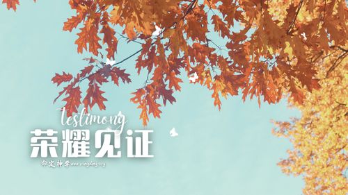 【见证集】- 20231217