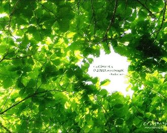 【活出丰盛】要投资在你自己的成长上