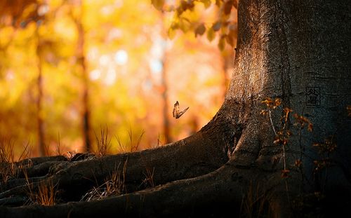 【讲道】打开天上祝福的窗口（3）- 把神的诫命放在心上