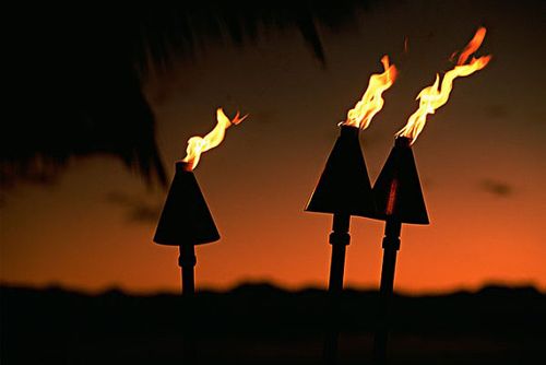 【查经】民数记 总结 - 能打仗的才算数