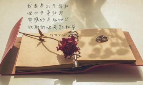 【活出丰盛】学习掌握清晰的概念