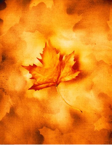 【见证】骨折得到医治的见证（20181111）