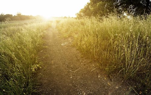 【见证】一位姐妹疾病得医治的见证（20181125）