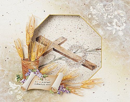 【课程】解开迷思 第02课 - 养生和照顾身体的迷思