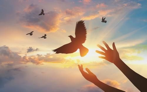 【课程】解开迷思 第04课 - 除去恩膏的迷思