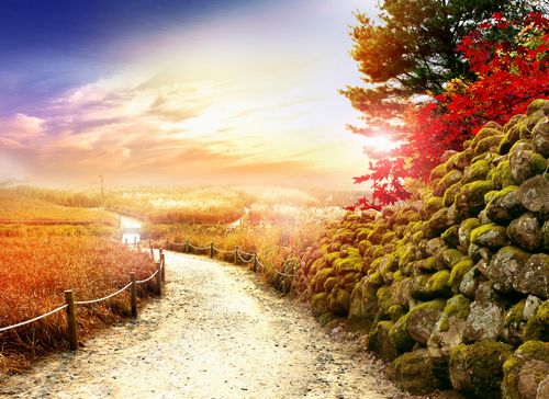 【见证】不要顺着自己的负面情绪任意而行，要照神的话语而活（20190210）