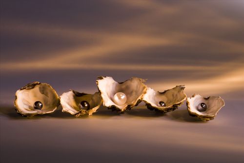 【讲道】认识耶稣基督为至宝