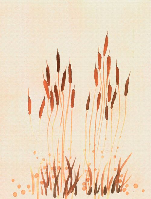 【课程】解开迷思 第07课 - 感动的迷思