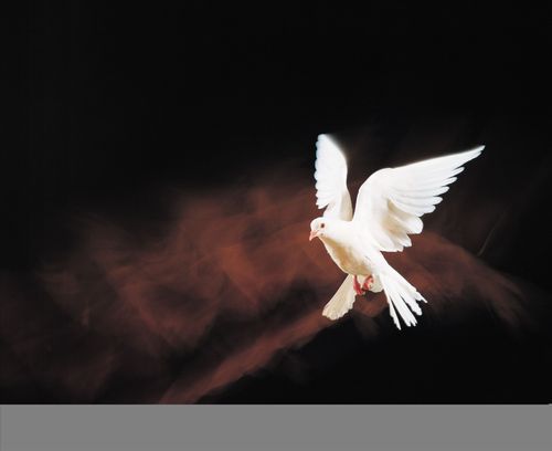 【课程】摩西的故事 – 第6集