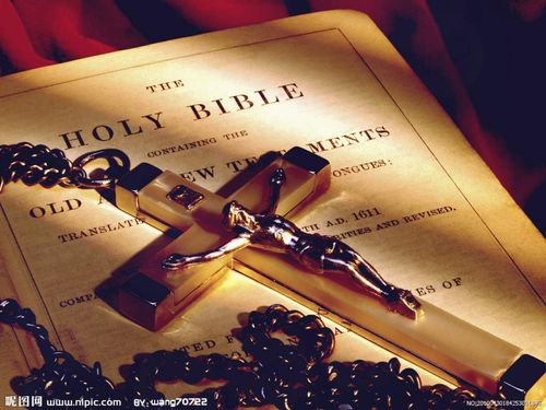 【讲道】蒙福的根基