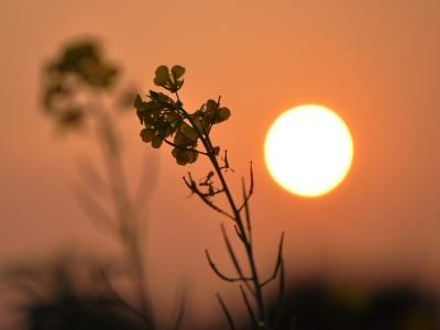 【见证】从心思意念转变而蒙福的见证（20190324）