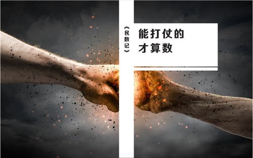 第04卷《民数记》- 查经解读