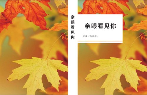 第18卷《约伯记》- 查经解读