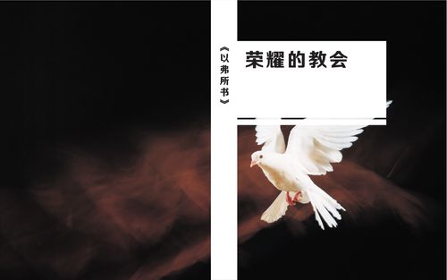 第49卷《以弗所书》- 查经解读